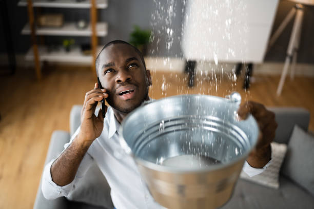  North Patchogue, NY Water damage restoration Pros