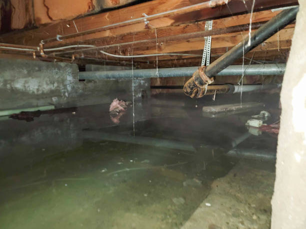 Best Residential water damage restoration  in North Patchogue, NY