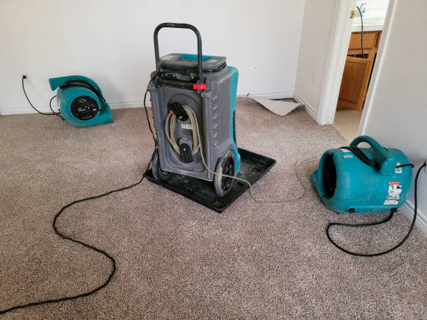 Trusted North Patchogue, NY Water damage restoration Experts