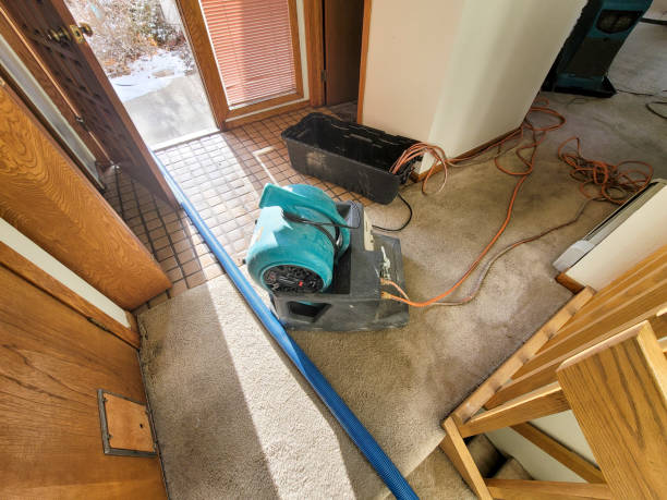 Carpet water damage restoration in North Patchogue, NY
