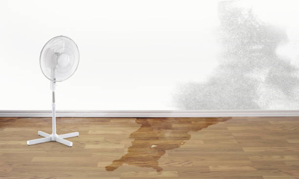 Best Sewage cleanup and water damage restoration  in North Patchogue, NY