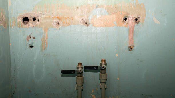Best Carpet water damage restoration  in North Patchogue, NY