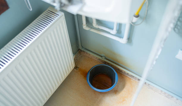 Best Carpet water damage restoration  in North Patchogue, NY