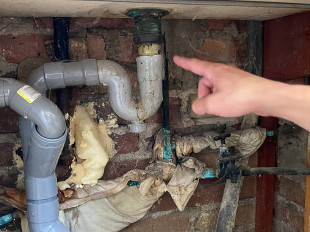 Best Flooded house restoration  in North Patchogue, NY
