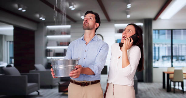 Best Flood damage cleanup  in North Patchogue, NY