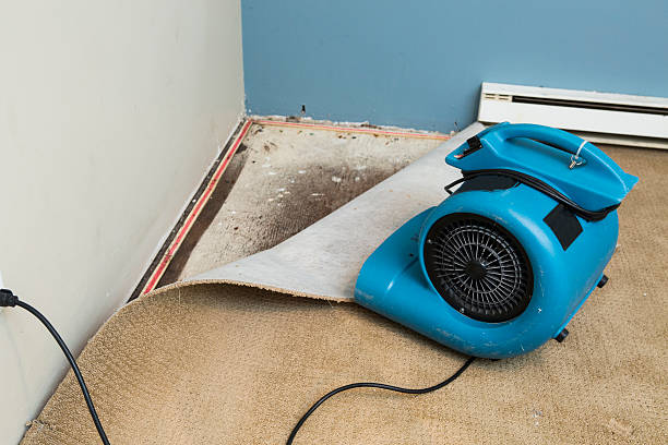Best Water damage restoration company  in North Patchogue, NY